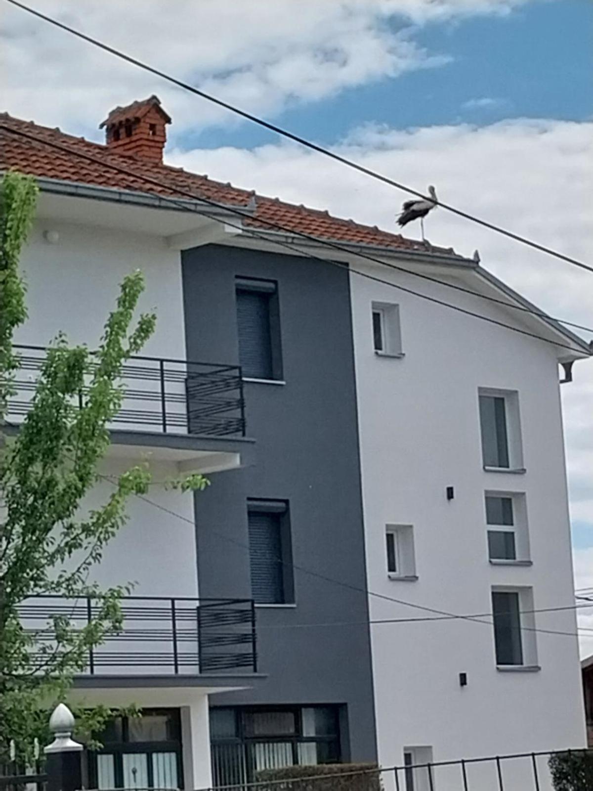 Ambient Apartments Struga Exterior photo