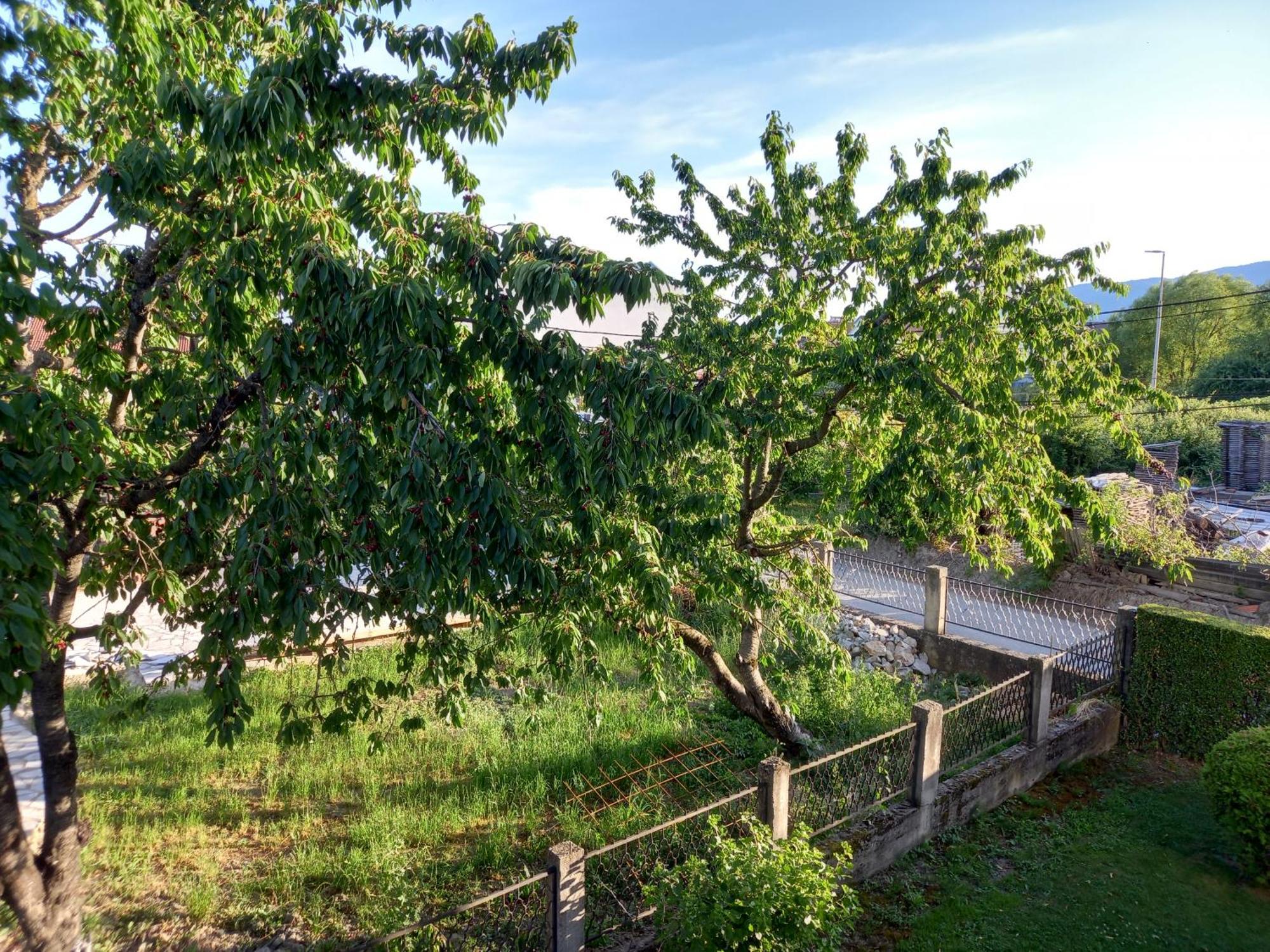 Ambient Apartments Struga Room photo